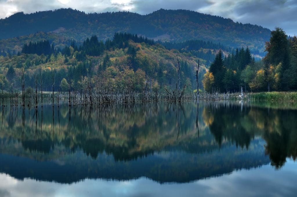 Hampton Inn Asheville - Biltmore Area Dış mekan fotoğraf